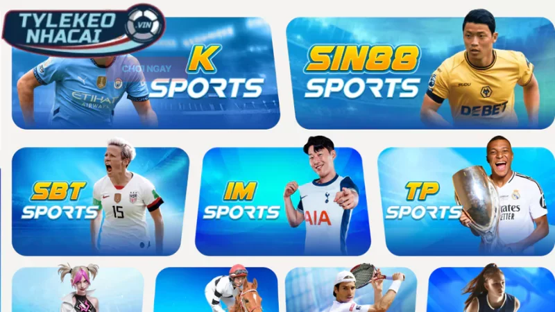 10+ Nhà Cái Uy Tín Nhất Việt Nam 2025 23 Sin88